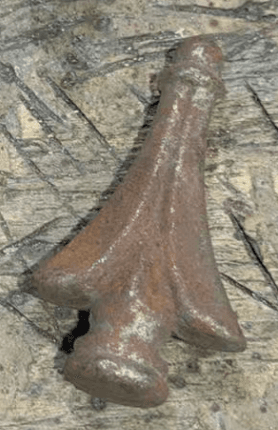 Pointed End US